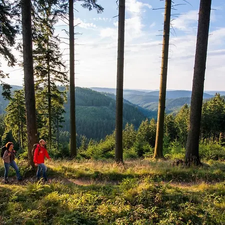 Lägenhet Im Zentrum Brilons Brilon